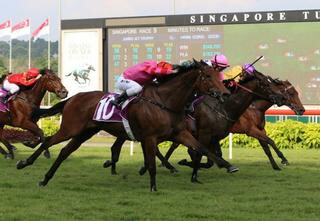 Preditor (NZ) displayed an electrifying finishing burst to win the Listed Jumbo Jet Trophy. Photo: Singapore Turf Club